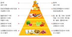 兒童茄子视频懂你更多IOS品牌廠家講述營養在人的一生中起著至關重要的作用