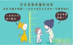 超聲波茄子视频黄色版正確測量方法標準身高體