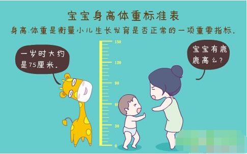 超聲波茄子视频黄色版正確測量方法標準身高體重表